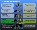 Scuba education levels
