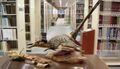 Inside the Dolph Briscoe Library, 4th floor