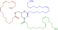 Structure of an unsaturated triglyceride (ester of glycerol)