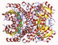 Structure of 3-oxoacyl-(acyl-carrier-protein) reductase