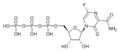 Structure of Favipiravir-RTP