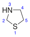 Thiazolidine structure with numbering