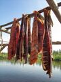 Indigenous cuisine of the Americas