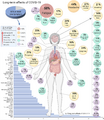 Long-term effects of COVID-19