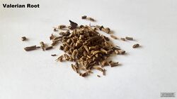 Valerian root