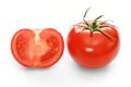 Bright red tomato and cross section