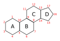 Steran num ABCD