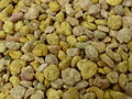 Corbiculette congelate