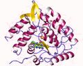 Tryptophan hydroxylase structure