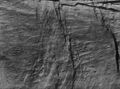 Tubercle