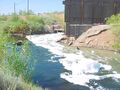Water pollution