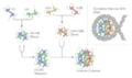 Nucleosome structure