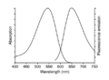Spectral properties of 7-AAD