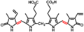 Bilirubin structure