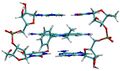 DNA Intercalation