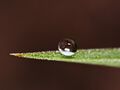 Surface tension