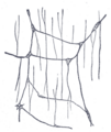 Submucosal plexus