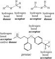 Hydrogen_bond