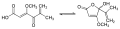 Chemical structure of Penicillic acid