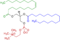 1-Oleoyl-2-palmitoyl-phosphatidylcholine structure