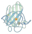 Superoxide dismutase