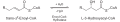 Beta-Oxidation2