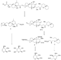 Isobe's Synthesis of Okadaic Acid