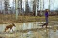 Moose imprinting