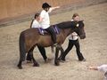 A participant engaging in therapeutic horseback riding.