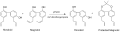 Magnolol purification process