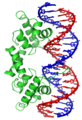 Gene expression