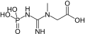 Phosphocreatine chemical structure