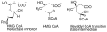 Chemical structure of a statin