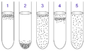 Anaerobic