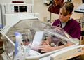 A nurse examines a newborn baby