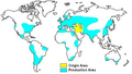 Wheat growing areas