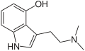 Psilocybe