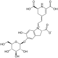 Betanin structure