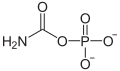 Carbamoyl phosphate deprotonated structure