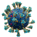 Coronavirus SARS-CoV-2