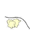 Animation of protein translation