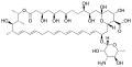 Nystatin structure