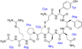 Vasopressin