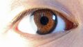 Iris (anatomy)