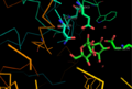 Active site of glucansucrase in Lactobacillus reuteri
