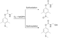 Methiocarb metabolism