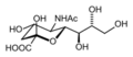 Sialic acid
