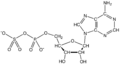 Chemical structure of 3'-Phosphoadenosine-5'-phosphosulfate