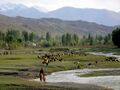 Bringing the sheep home, on the southern shore of Issy-Kol.