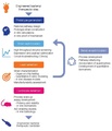 Strategy for the development of engineered live bacterial therapeutic clinical candidates